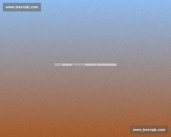 2025 中青赛沈阳赛区 U10-U15 组赛前联席会召开 俱乐部组赛事筹备进入冲刺阶段